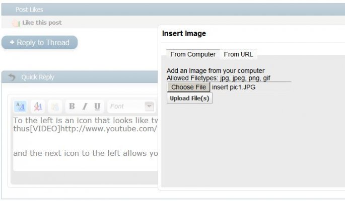 insert pic 3.JPG insert pic 3.JPG