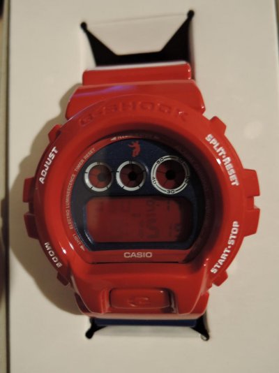 gshock-Union-Pegleg-DW-6900UN-4JR-2009-101.jpg