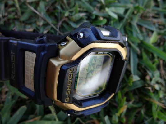 bezel grass.jpg bezel grass.jpg
