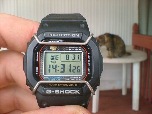 DW-5000-1-watches-1314822718.jpg