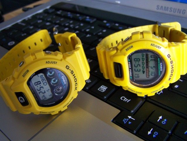 100_6619.jpg