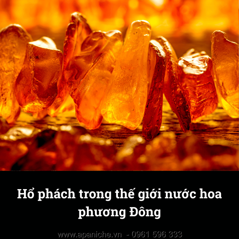 nuoc-hoa-huong-ho-phach-1.png