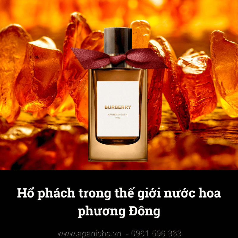 nuoc-hoa-huong-ho-phach-Burberry-Amber-Heath.png