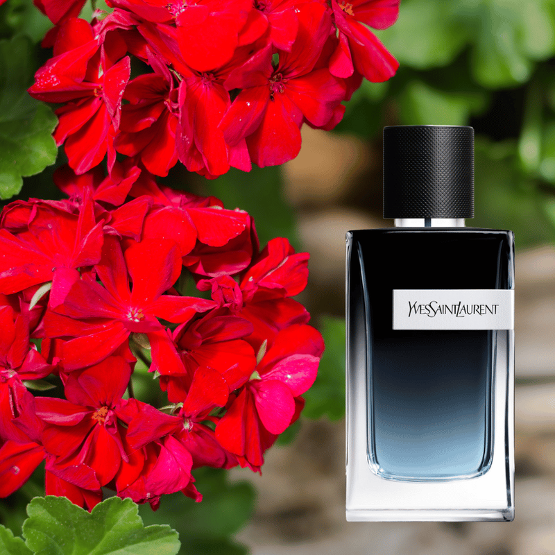 ysl-y-edp-hoa-phong-lu.png